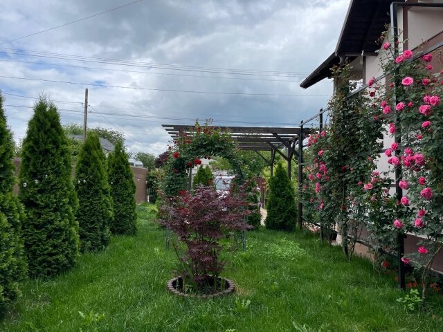 Casa, 5 camere, constructie 2022, teren 1000mp, Mehedinta, 220.000euro